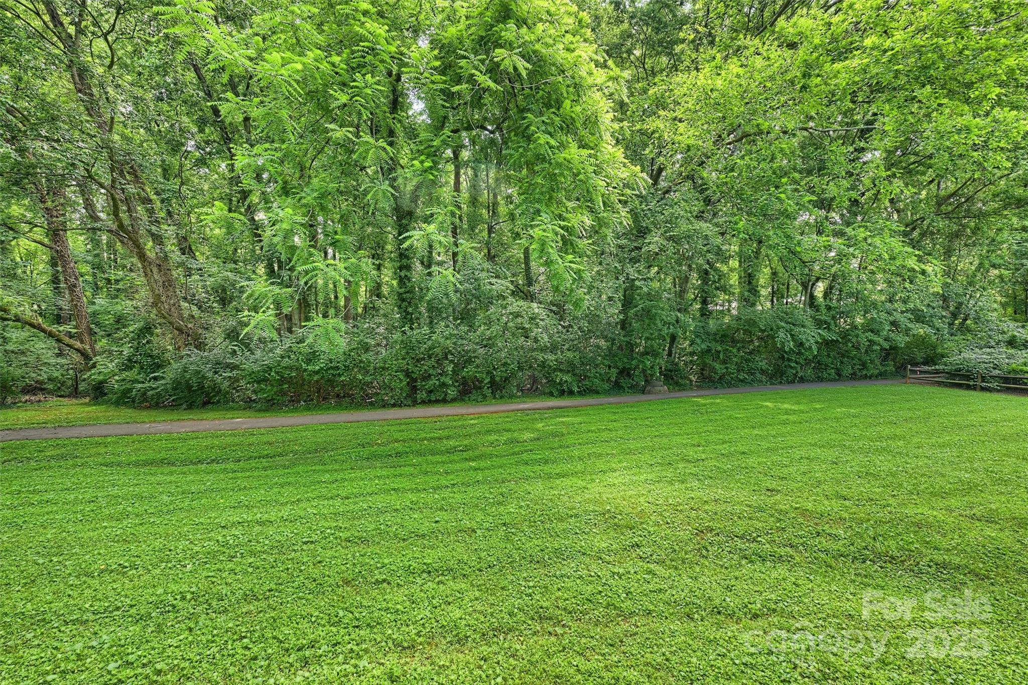 Photo #33