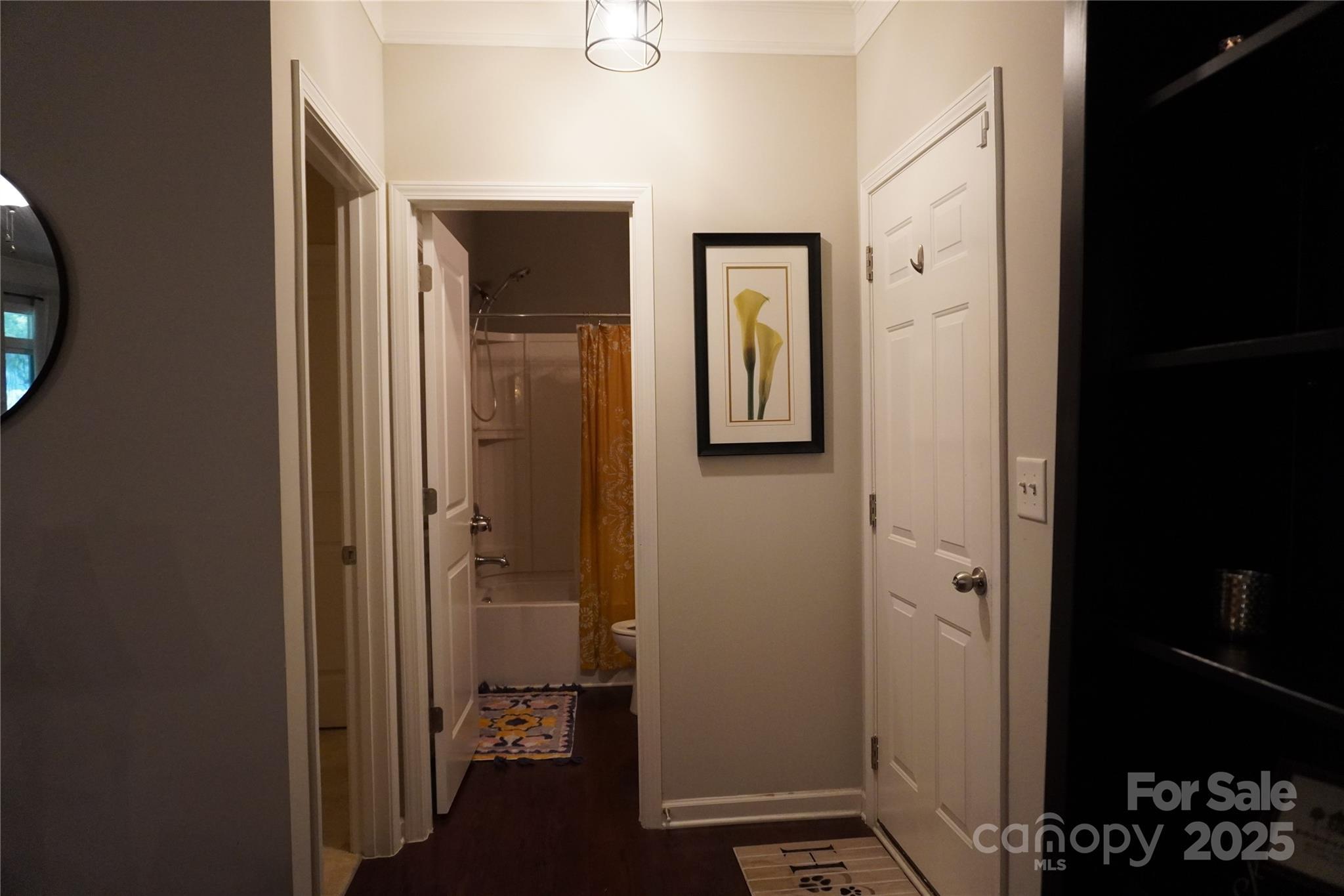 Photo #22