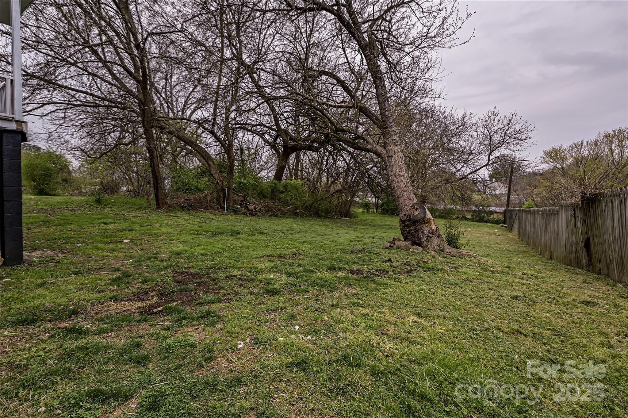 Photo #23