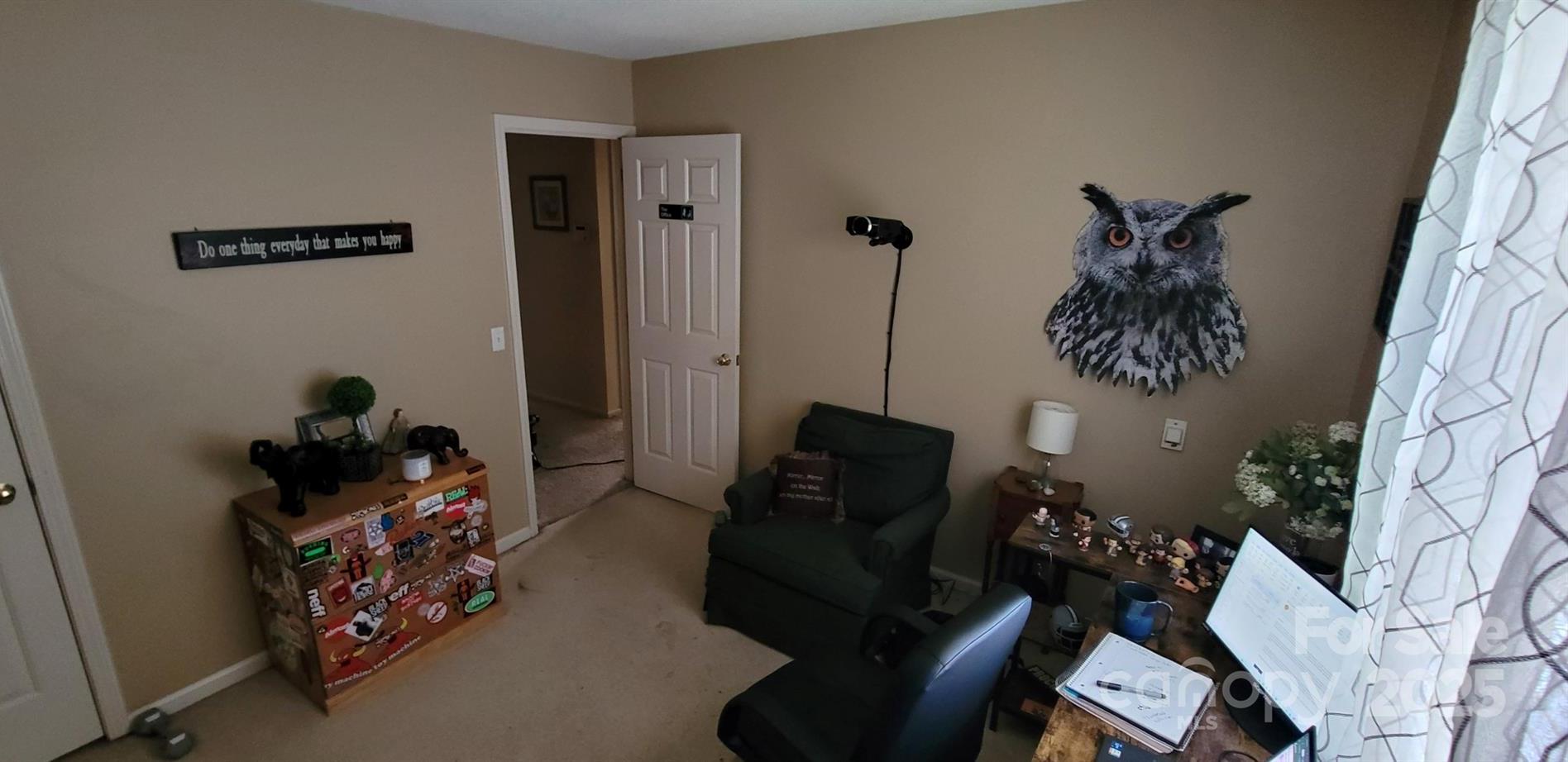 Photo #12