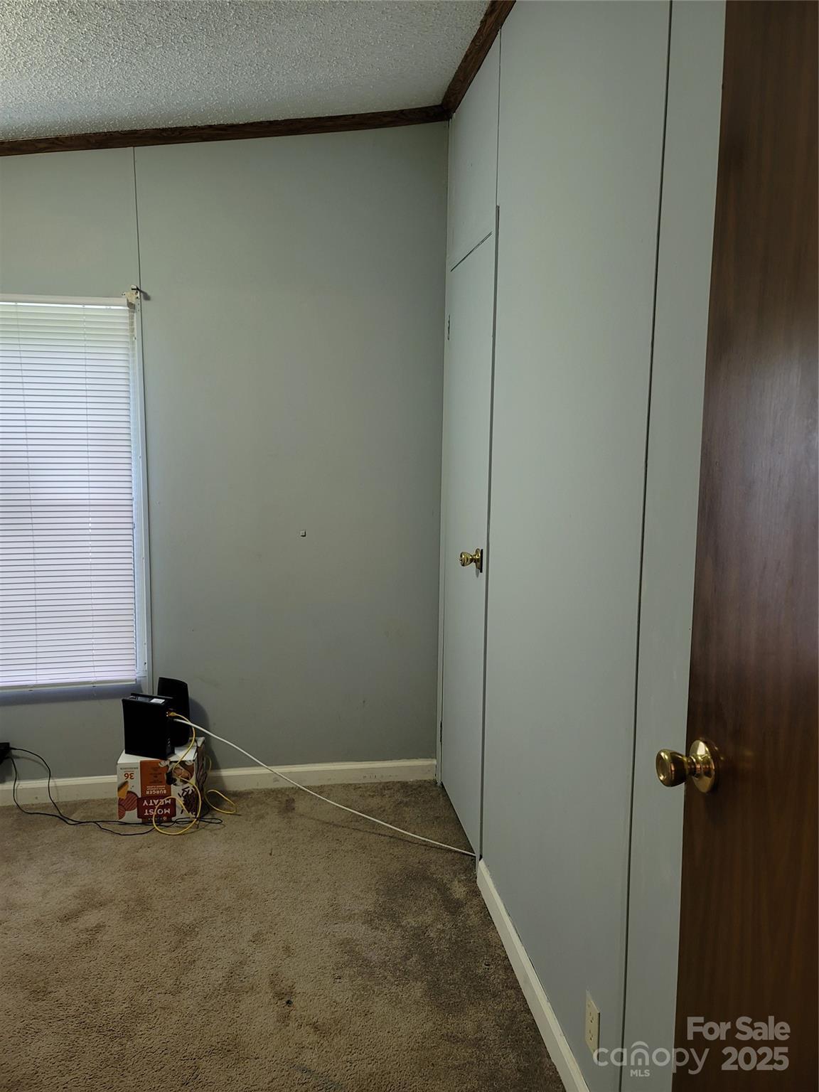 Photo #24
