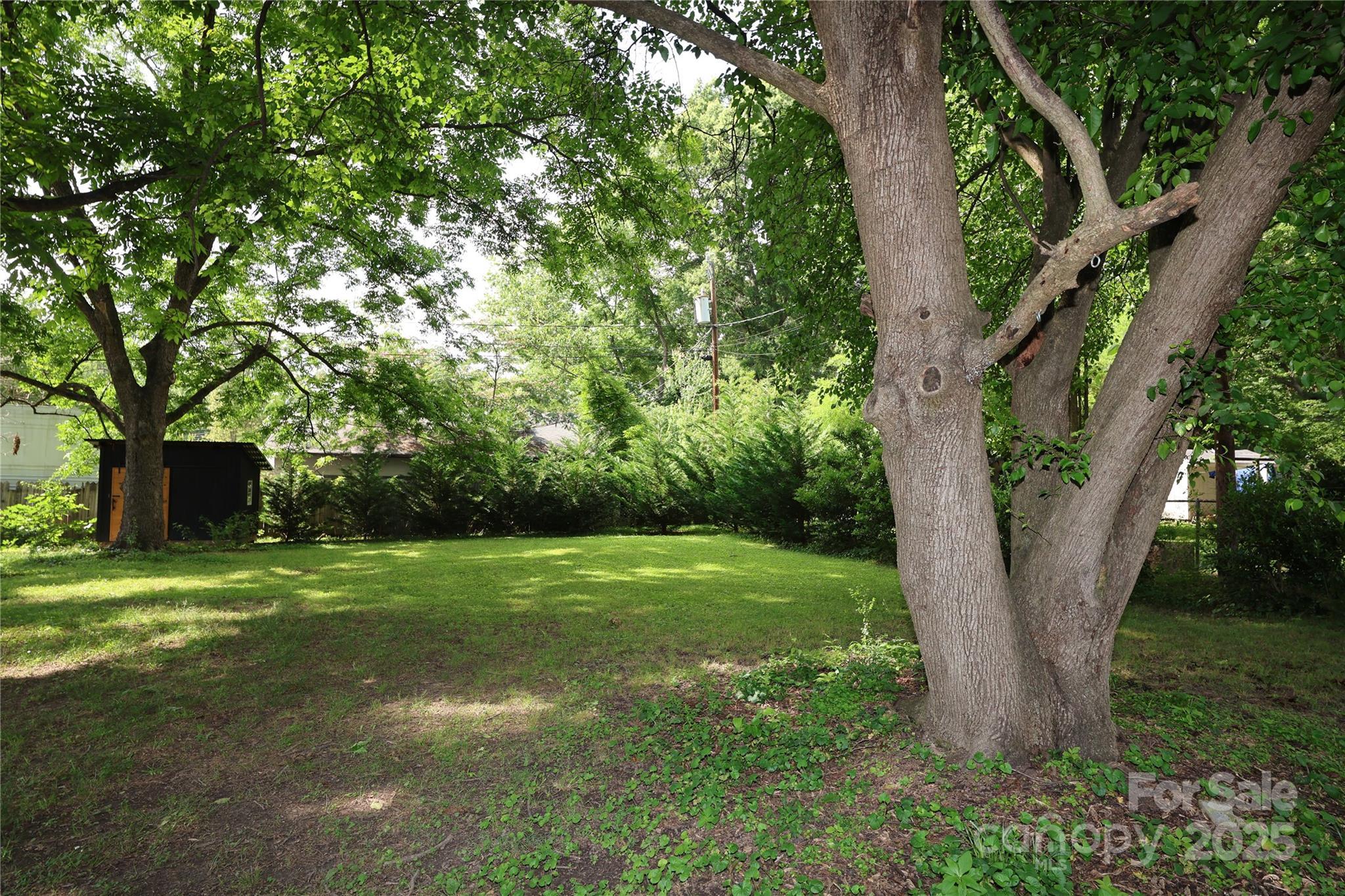 Photo #33