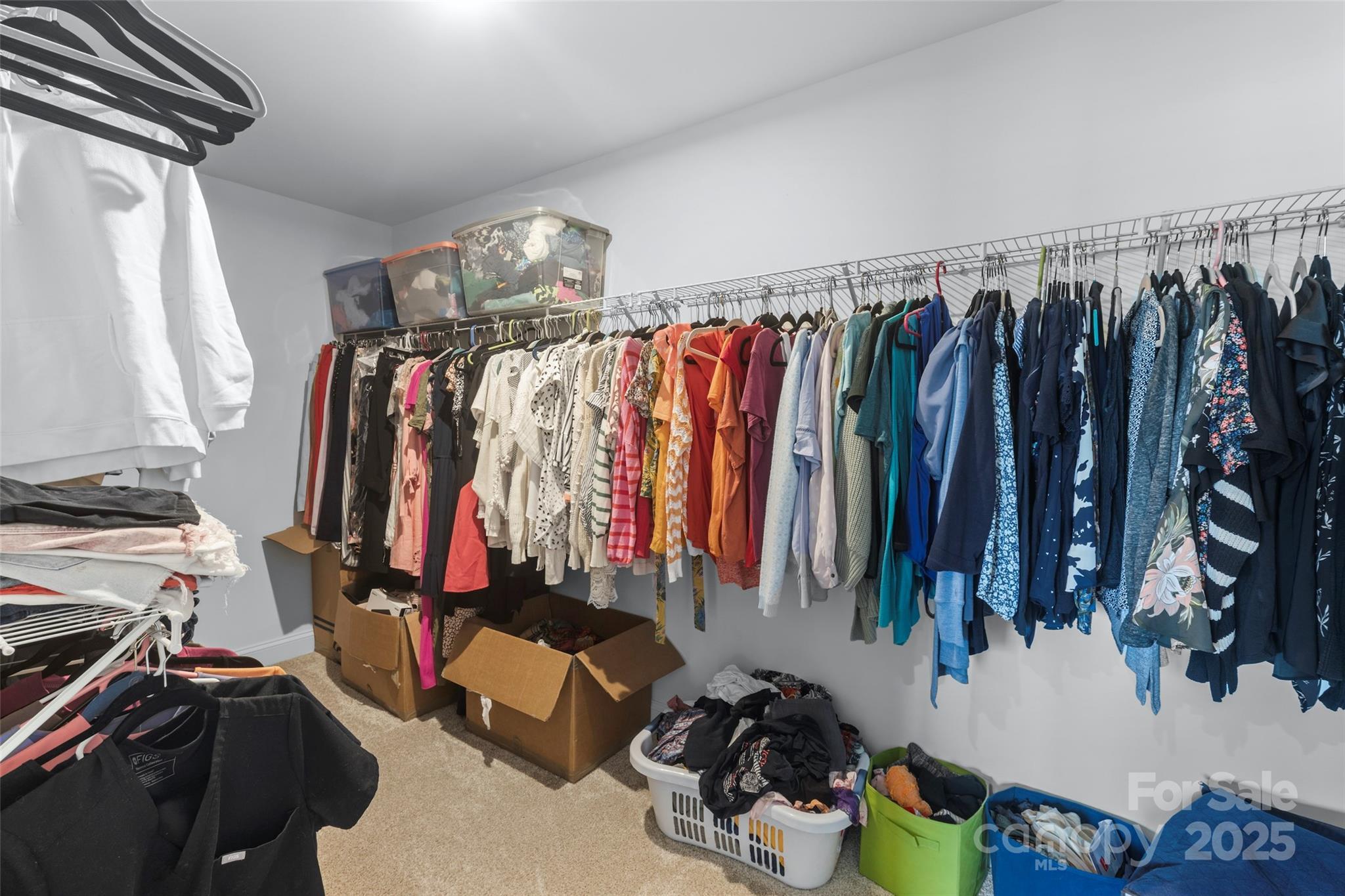 Photo #42