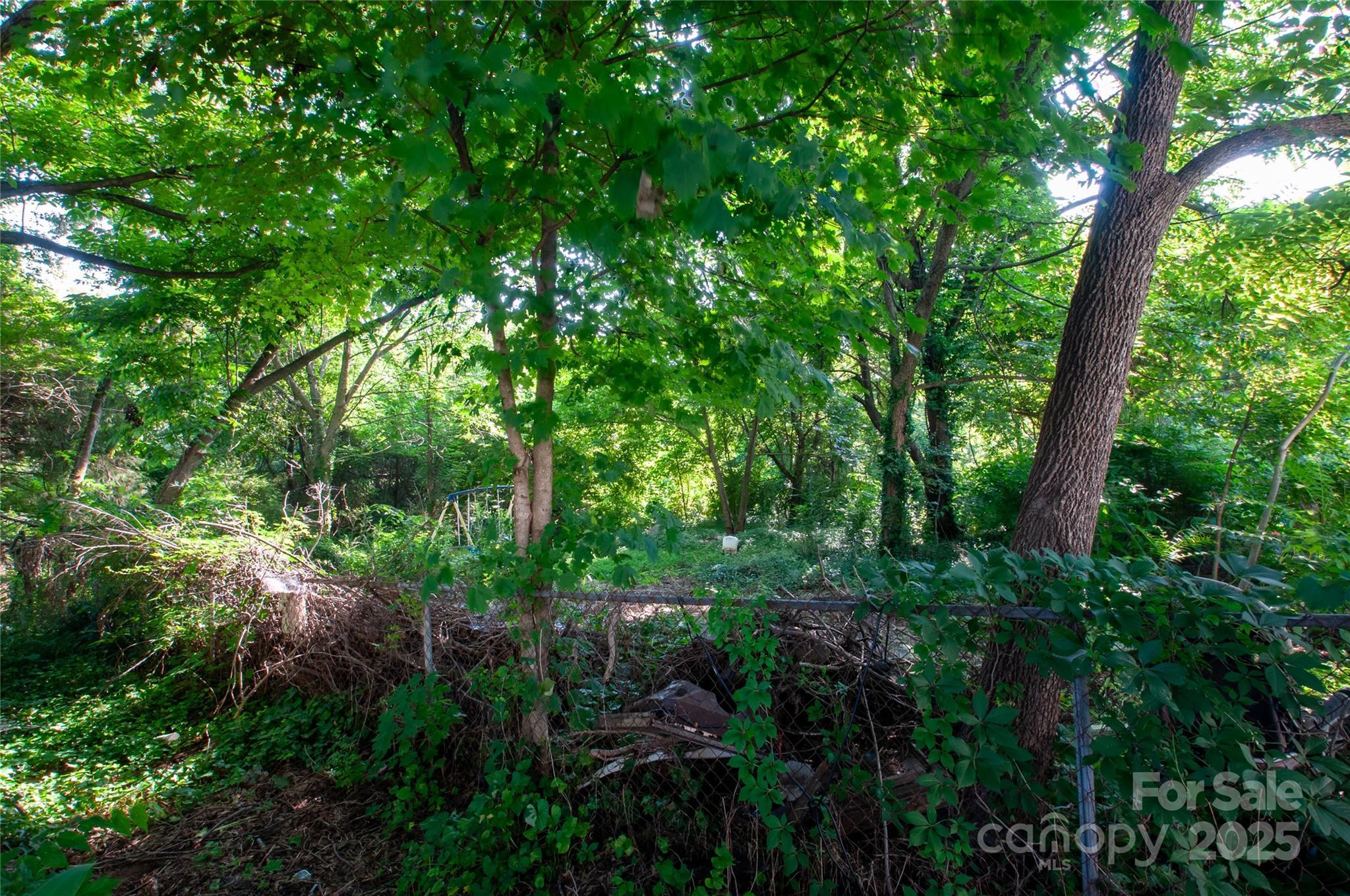 Photo #5