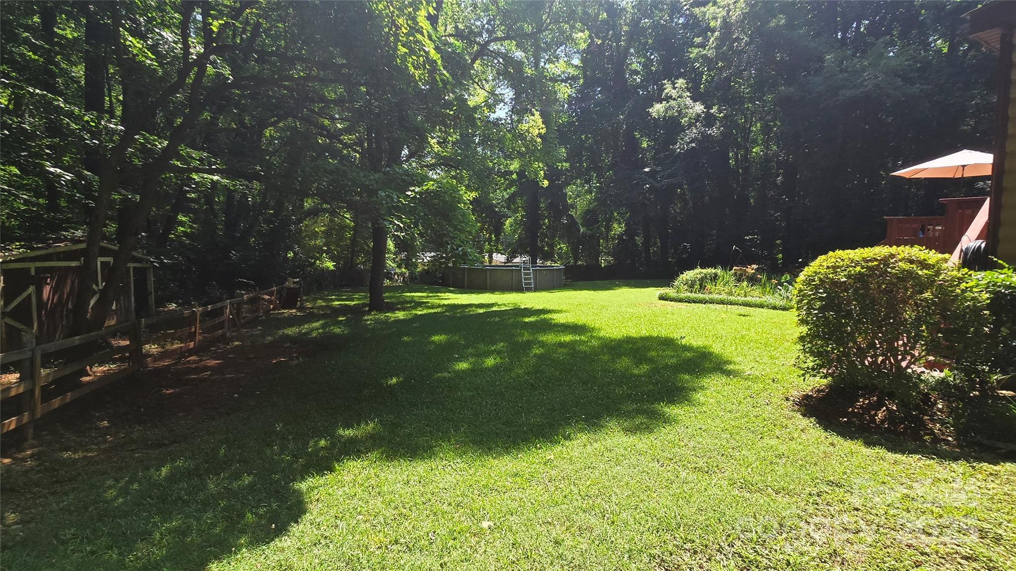 Photo #30