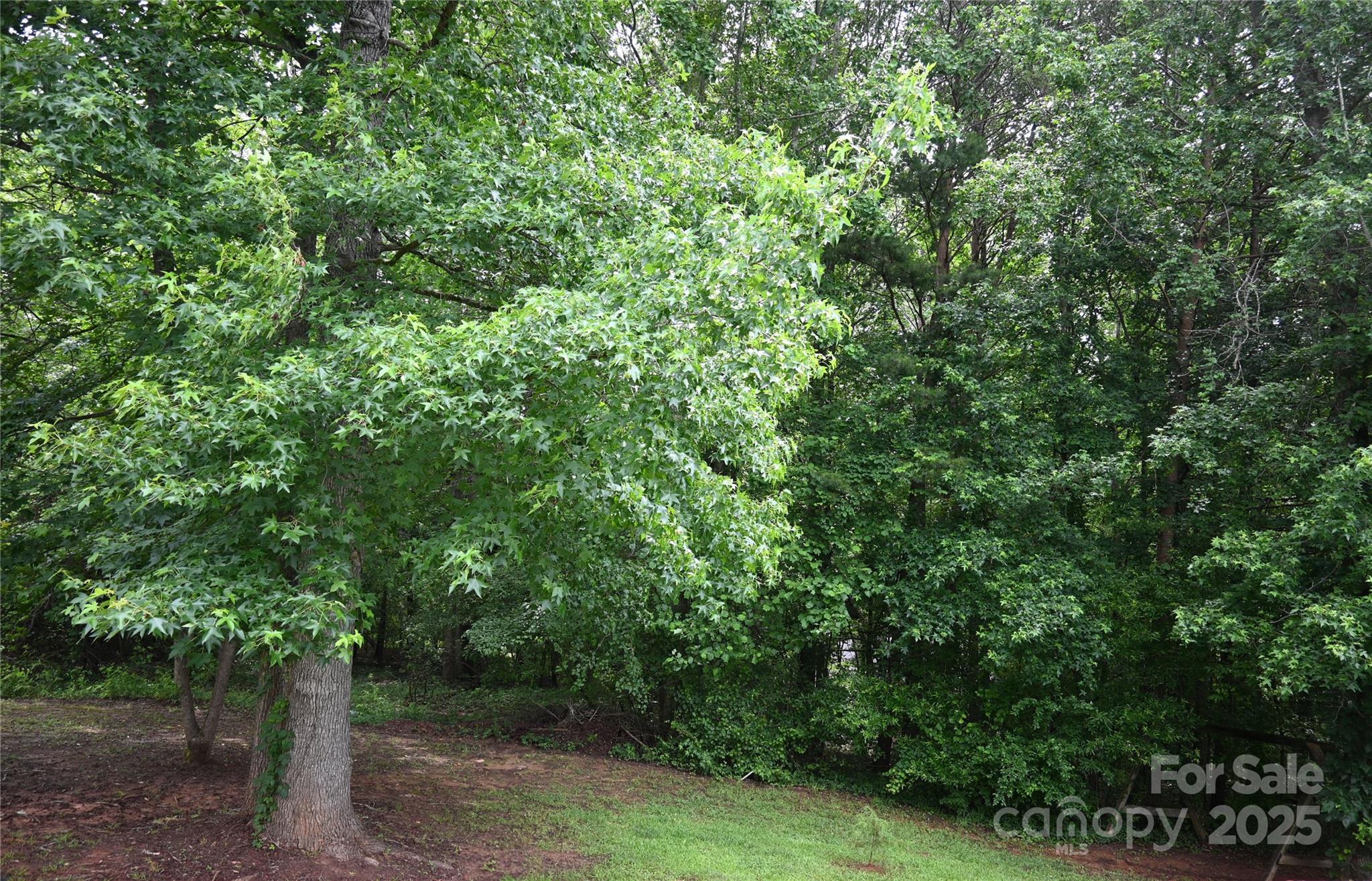 Photo #40