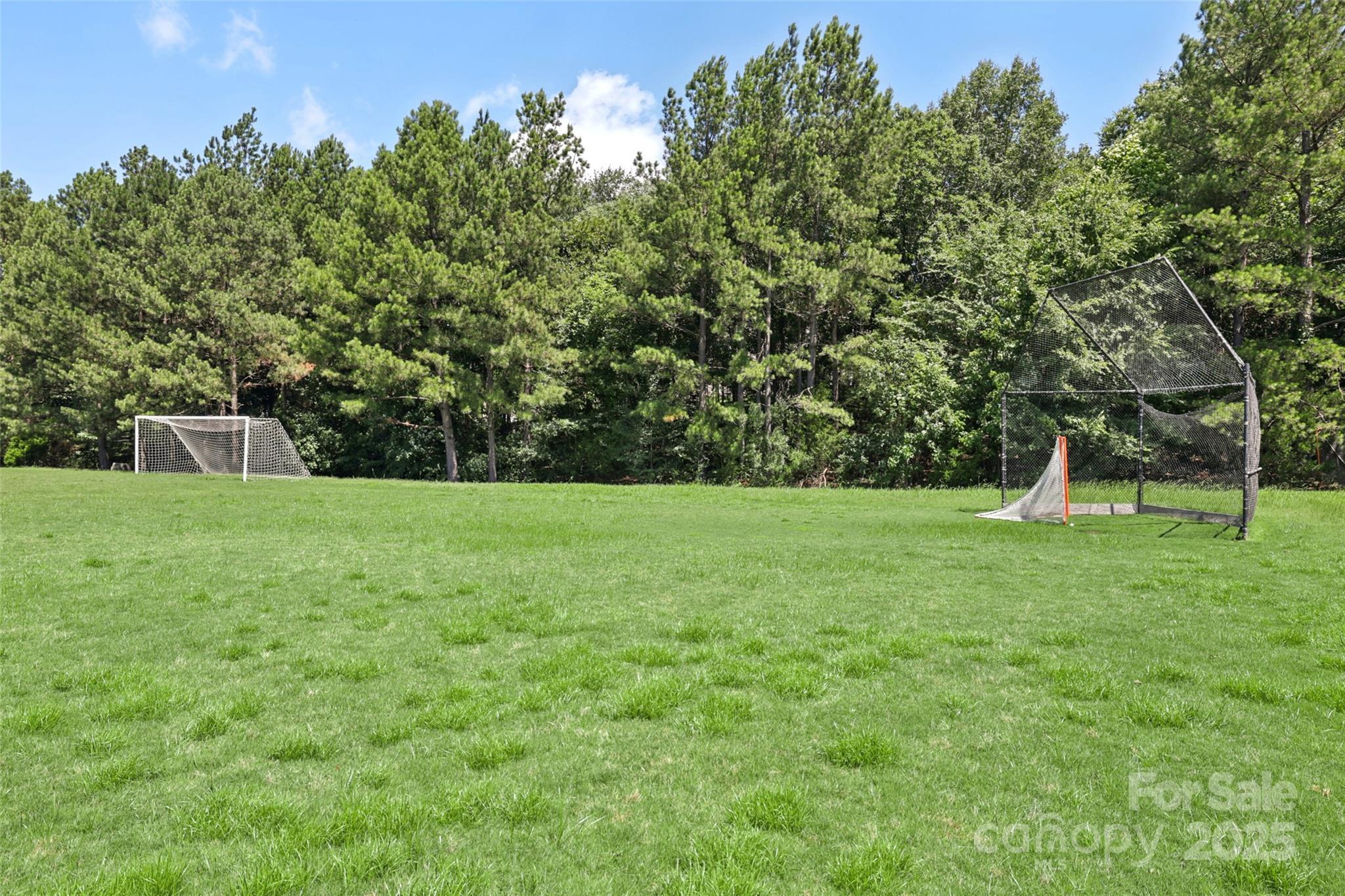 Photo #48