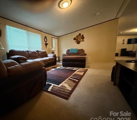 Photo #15