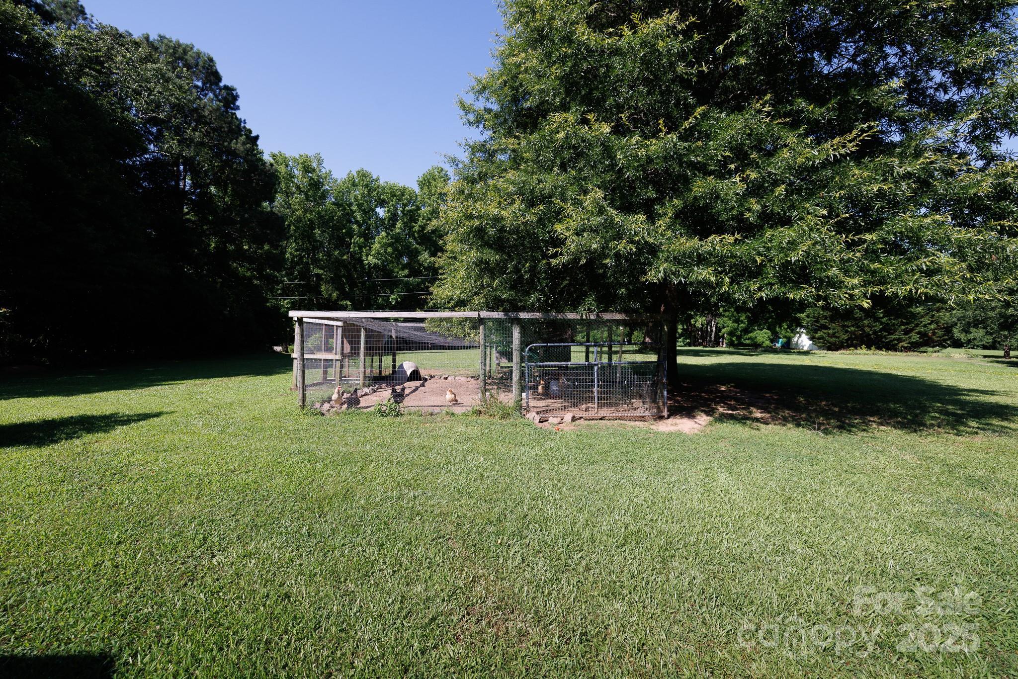 Photo #22