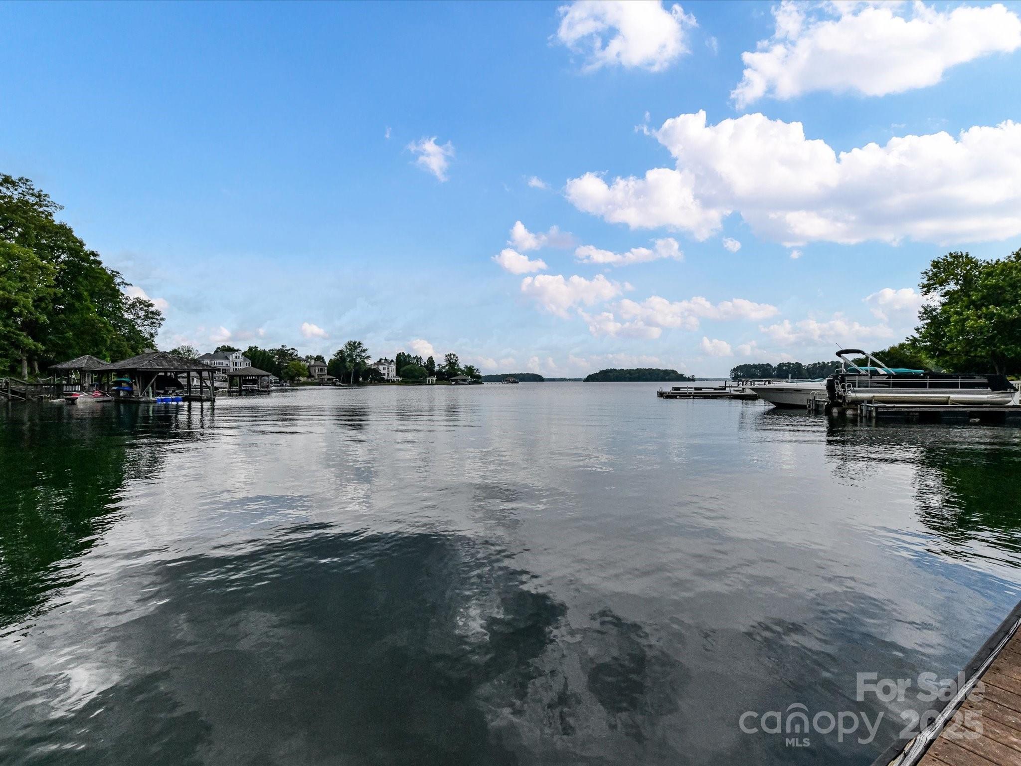 Photo #42