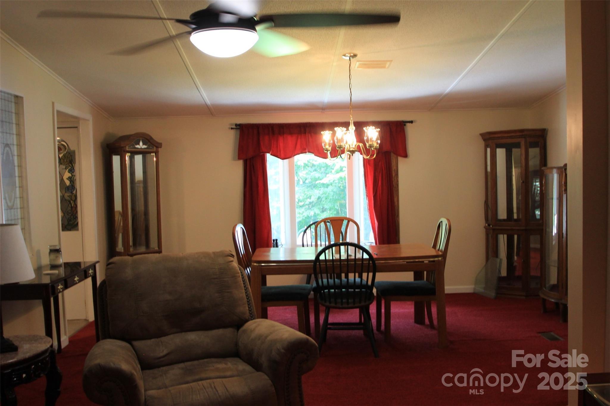 Photo #12
