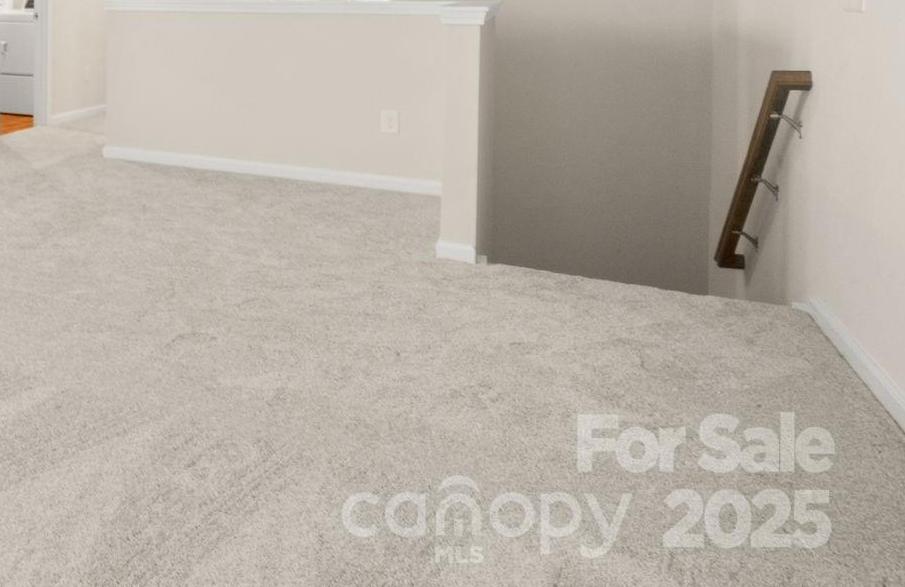 Photo #21