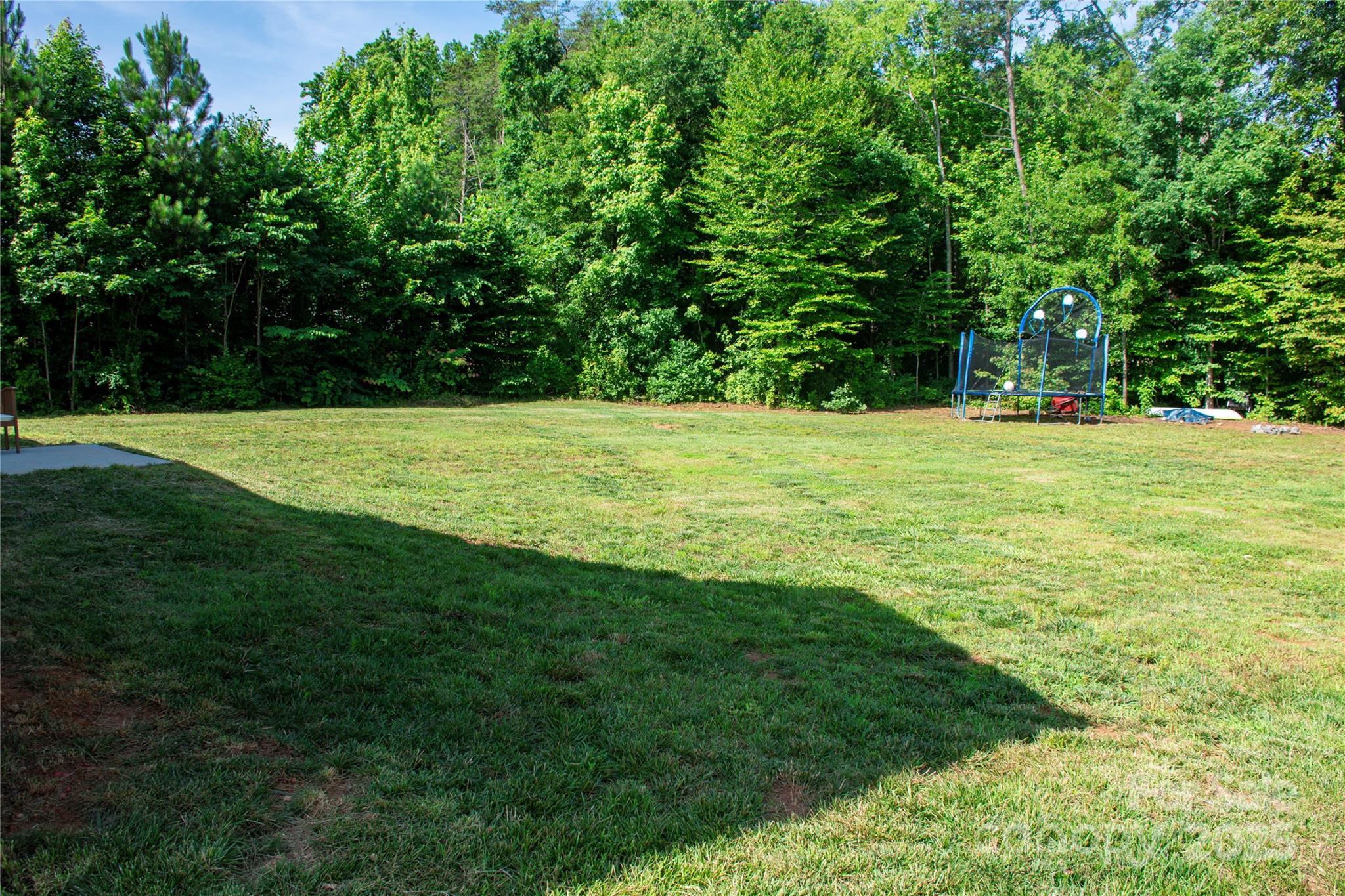 Photo #30