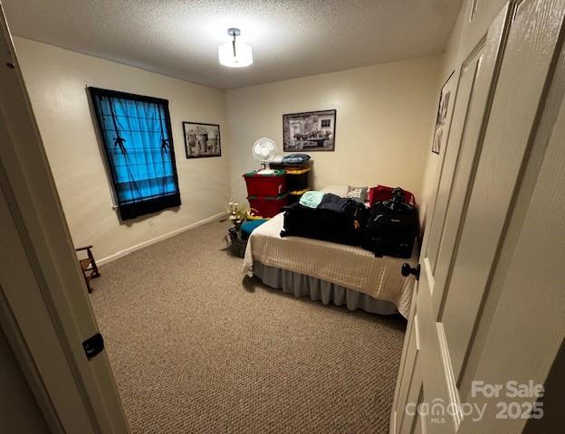 Photo #14