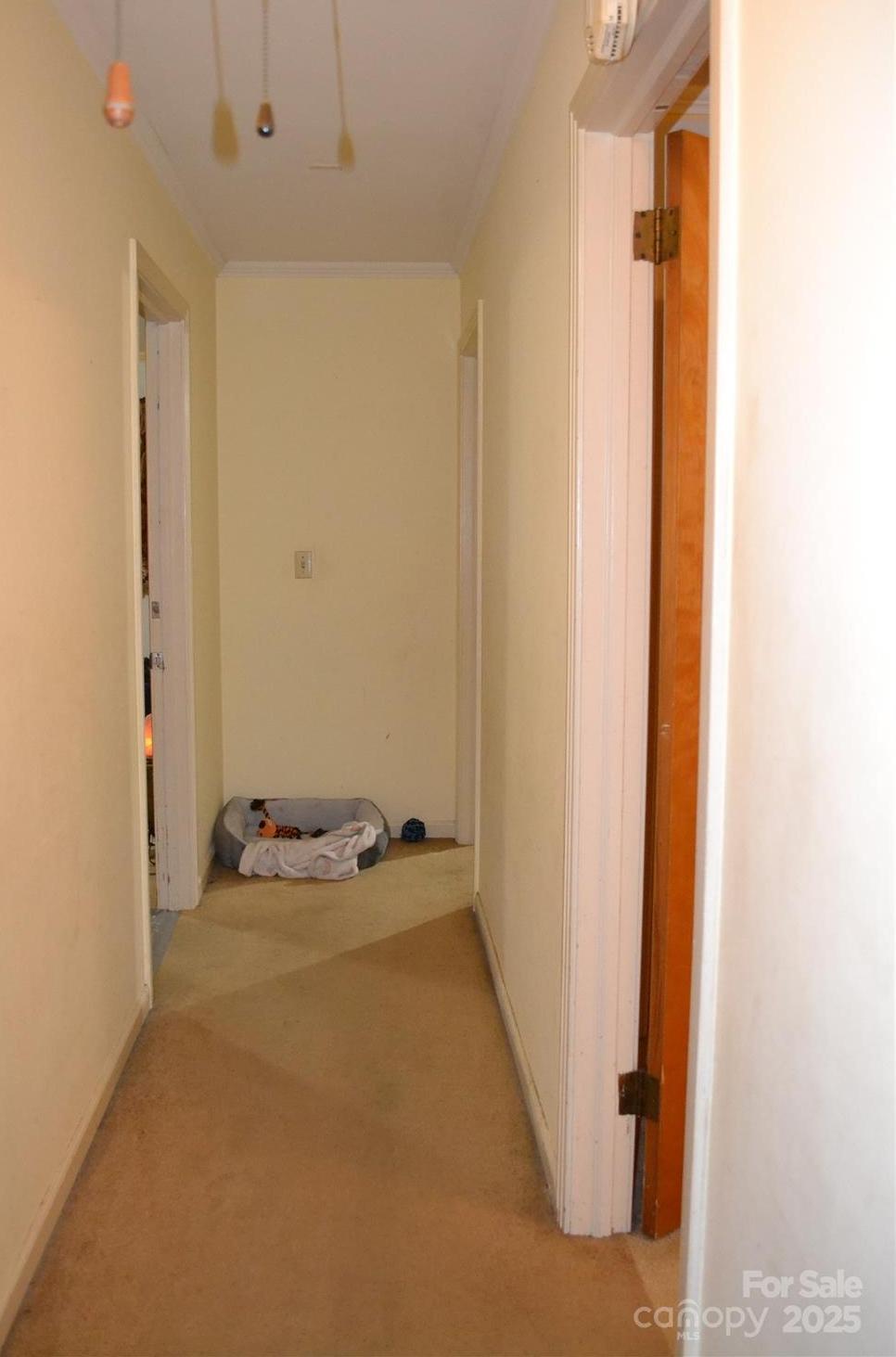 Photo #13