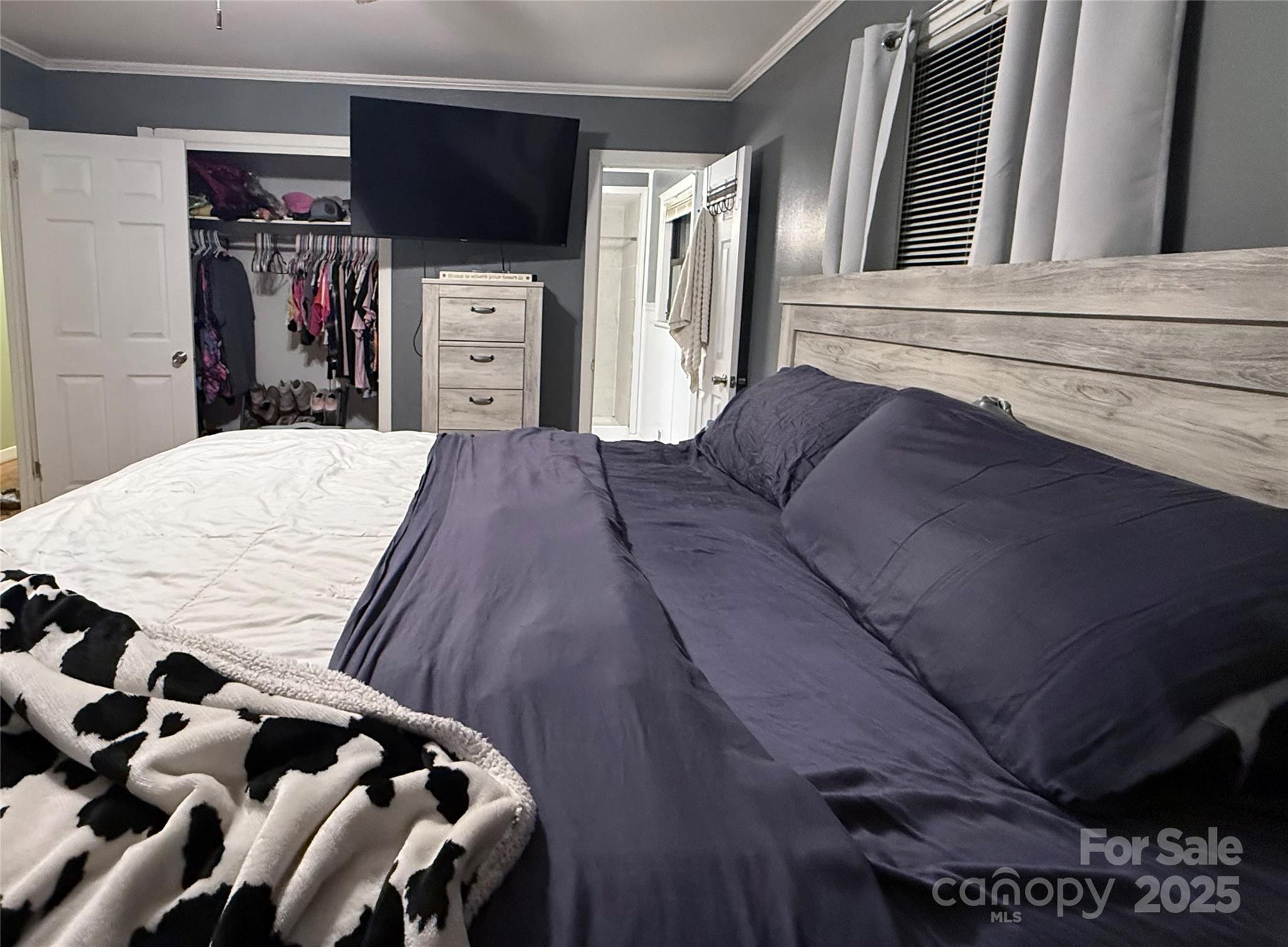 Photo #11