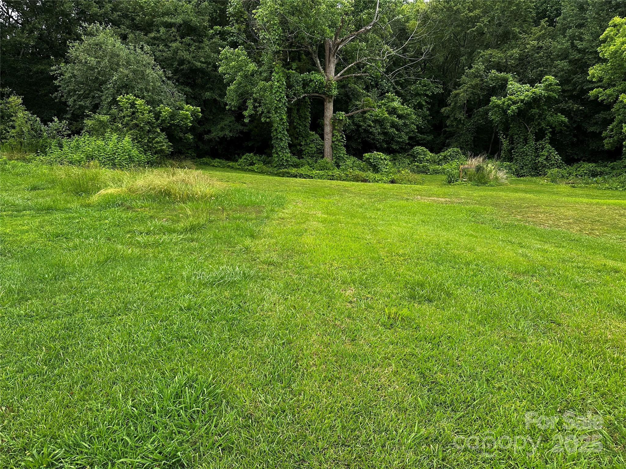 Photo #16