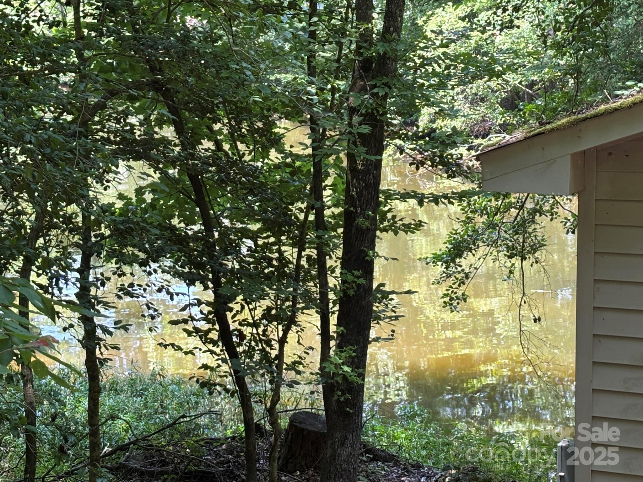 Photo #18
