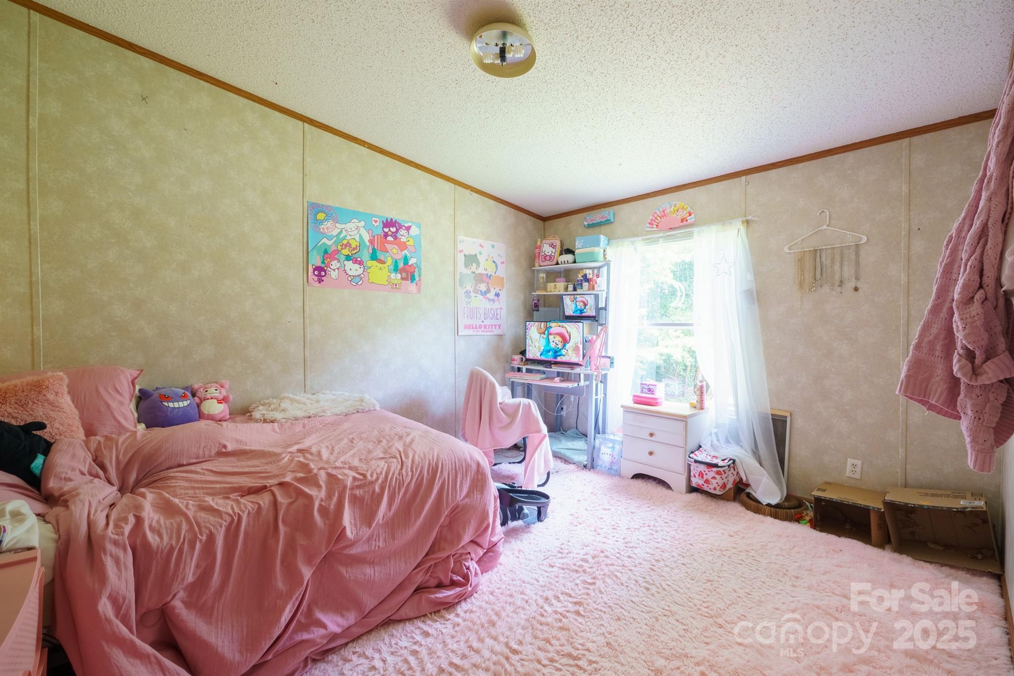 Photo #15