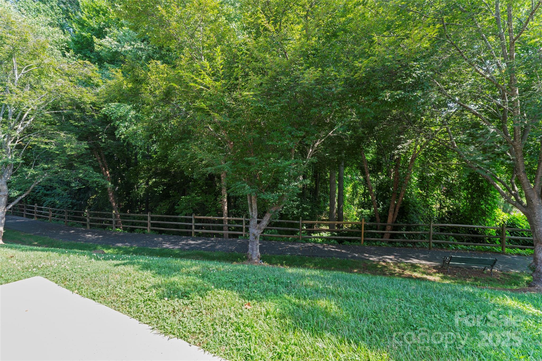 Photo #37