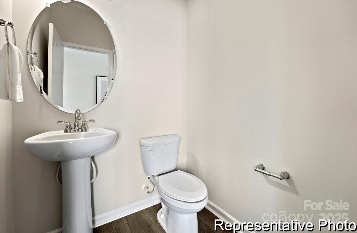 Photo #9