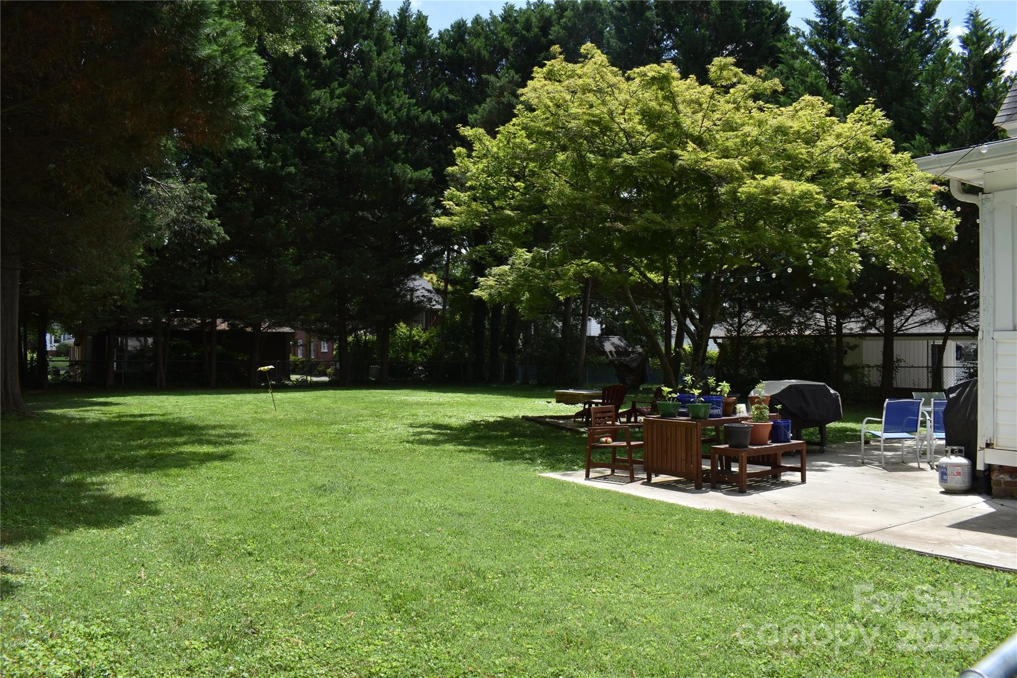 Photo #39
