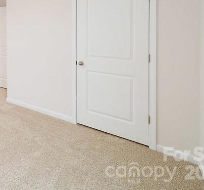 Photo #12