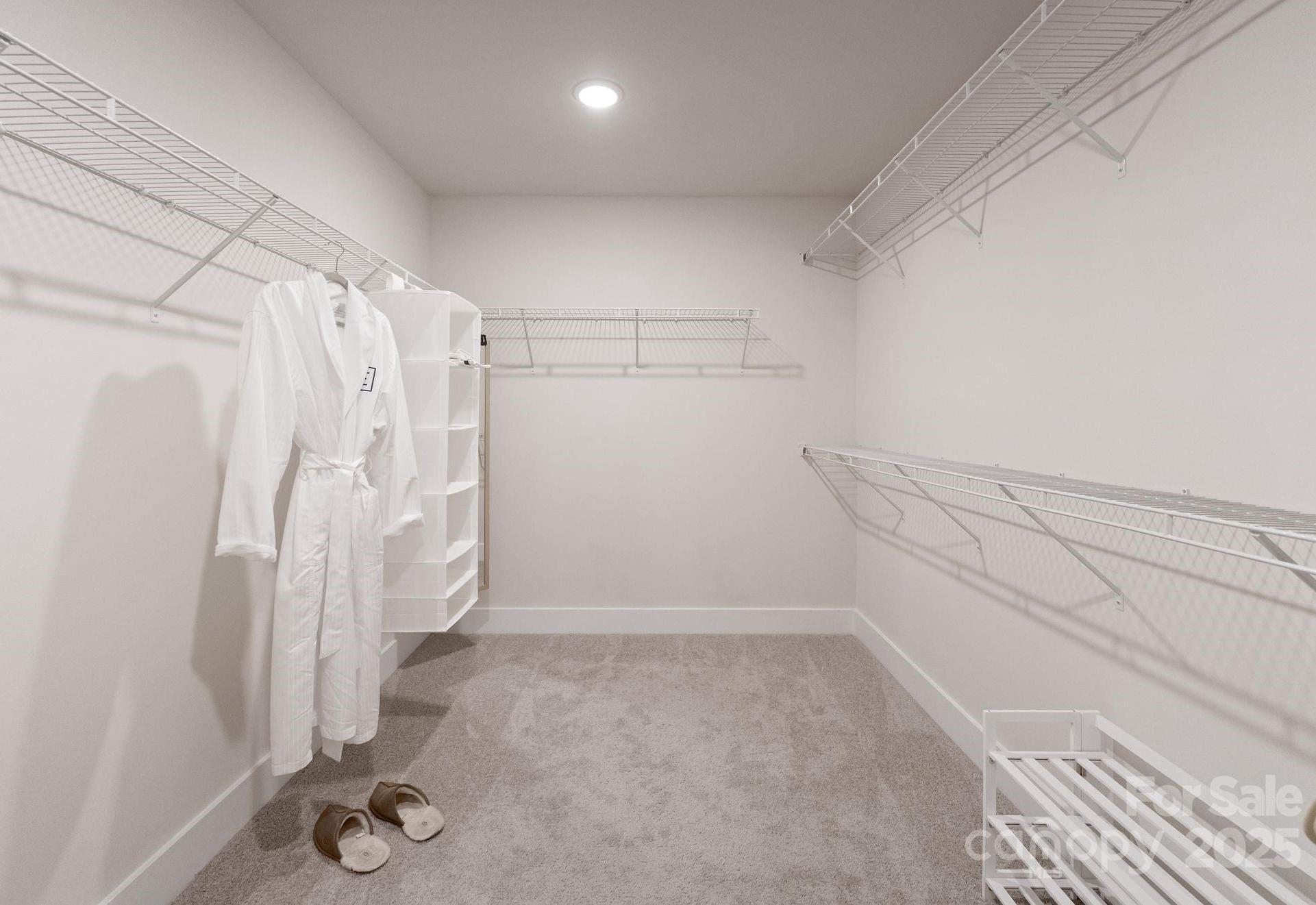 Photo #16