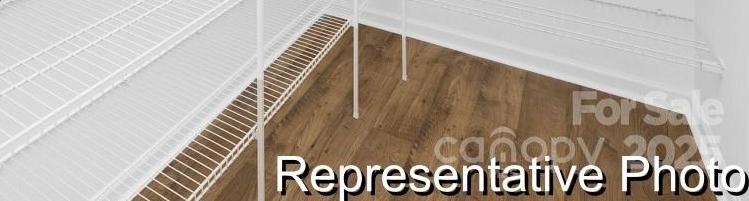 Photo #7
