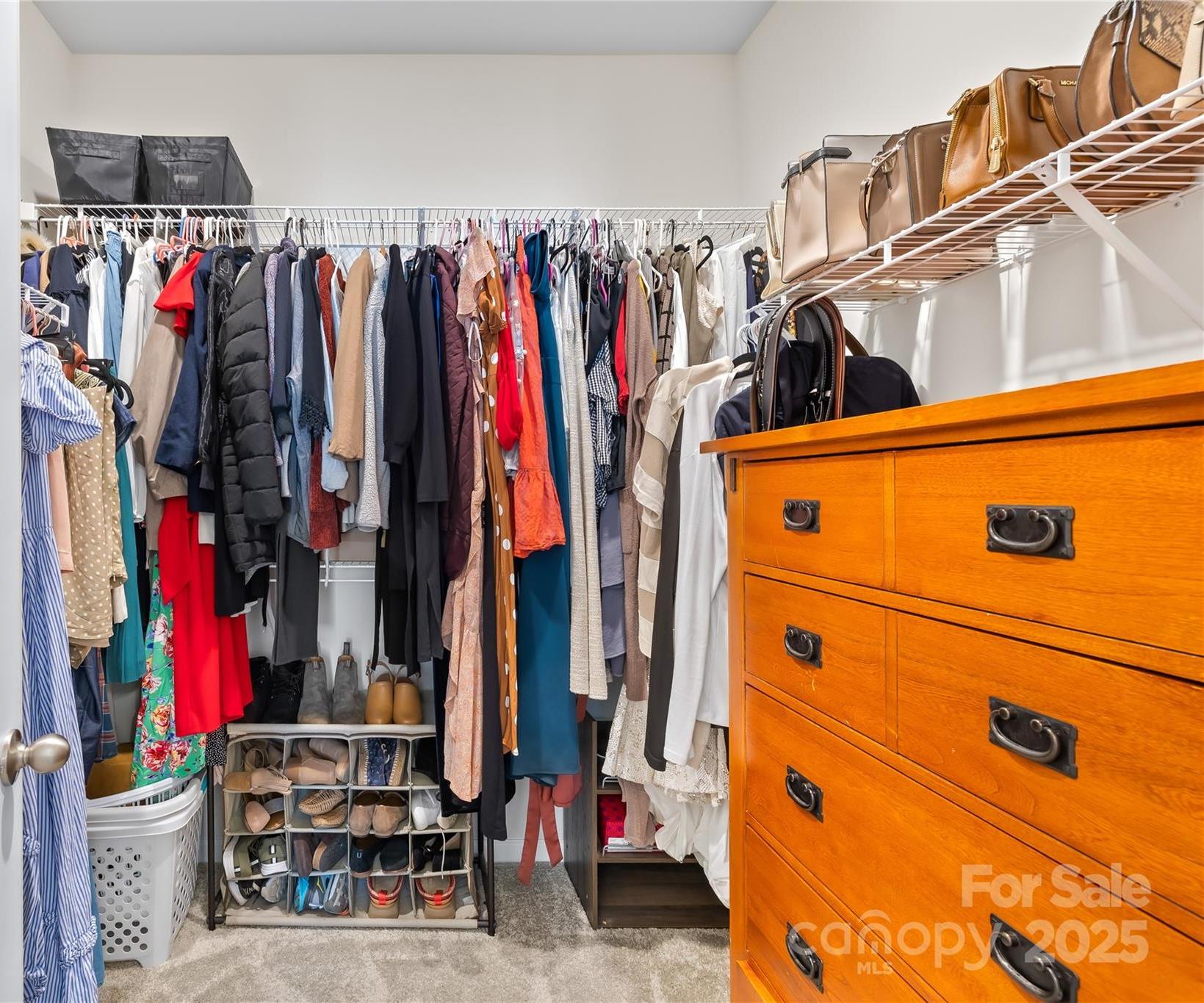 Photo #24