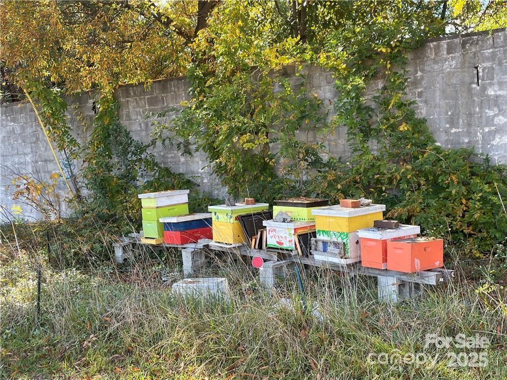 Photo #29