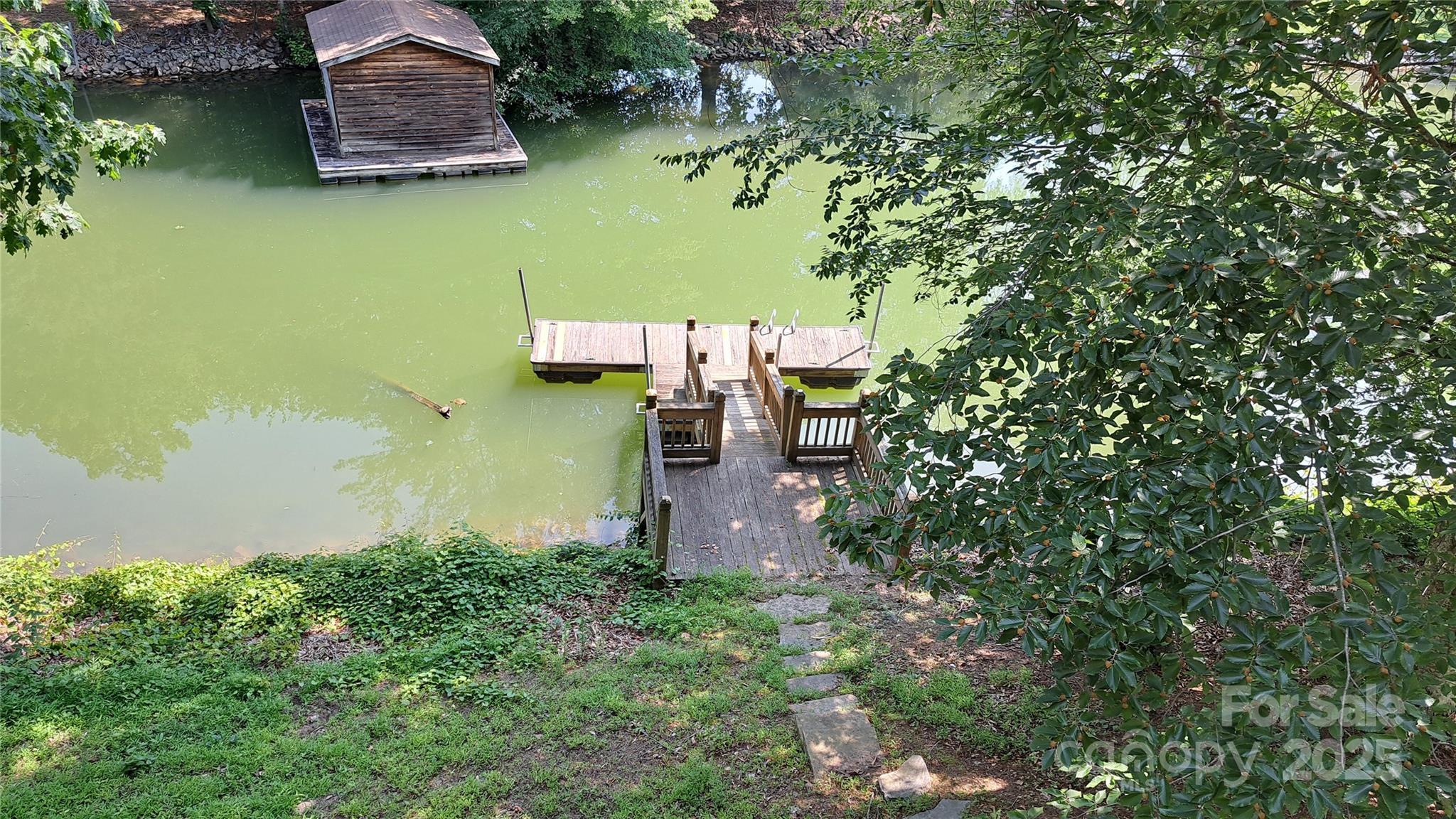 Photo #3