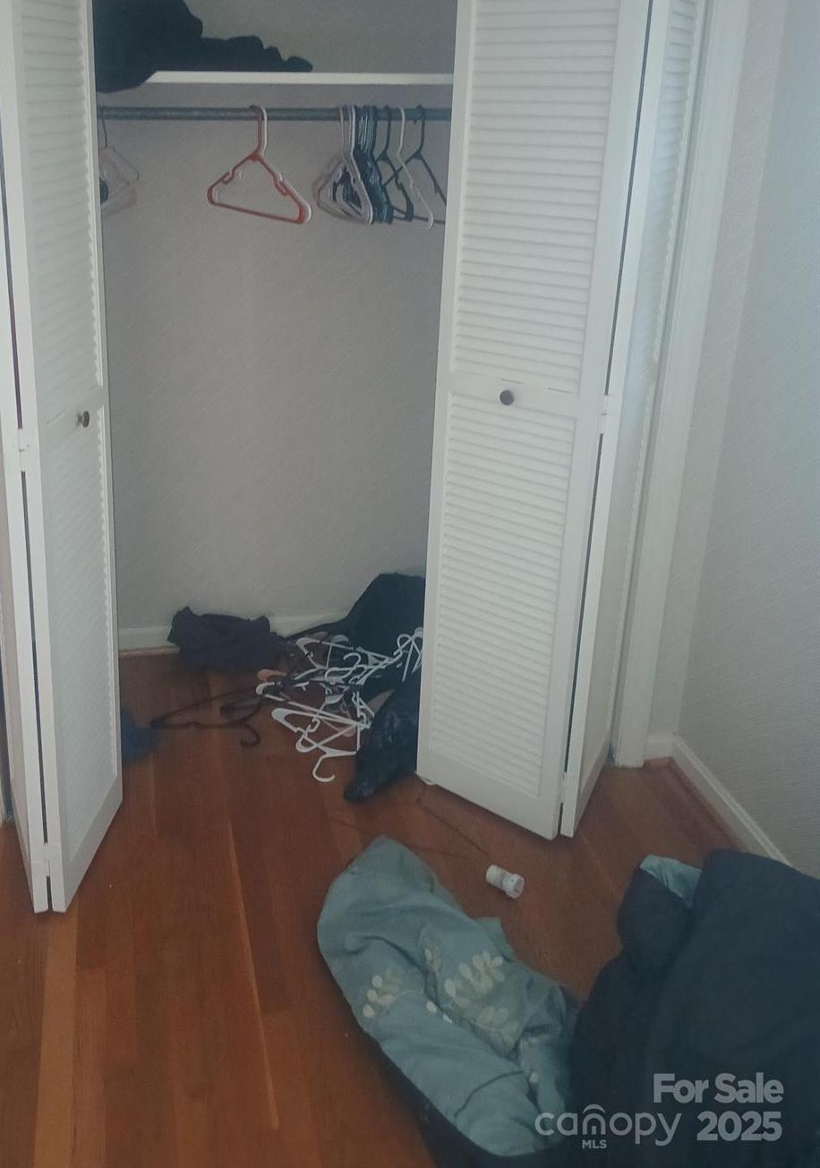 Photo #17