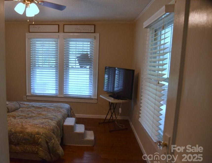 Photo #24