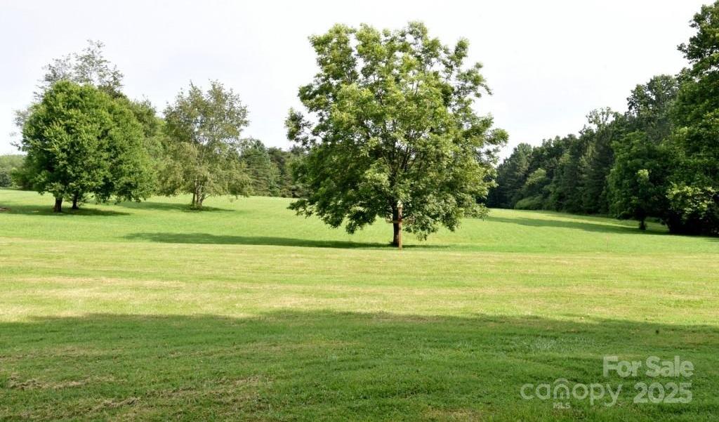 Photo #11