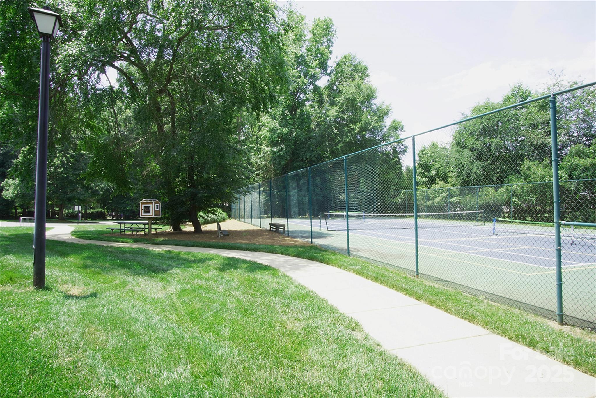 Photo #33