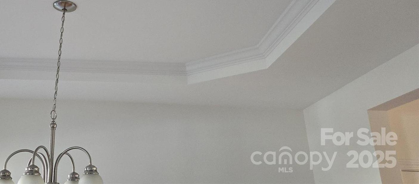 Photo #5