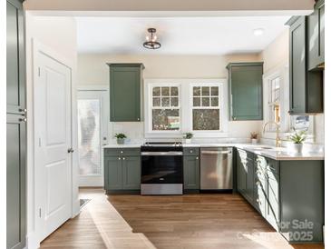 Renovated kitchen, featuring green cabinets, stainless steel appliances, and marble countertops at 103 2Nd Nw Ave, Hickory, NC 28601