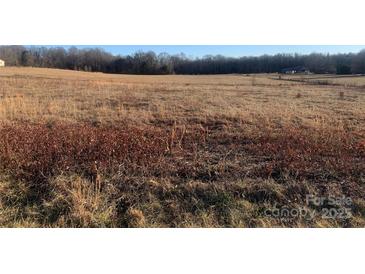 Wooded lot with distant views of farm buildings at Lot #1 Maiden Salem Rd, Lincolnton, NC 28092