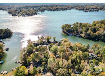 Stunning aerial view of lakefront homes surrounded by lush greenery and shimmering water at 1065 Gauguin Ln, Fort Mill, SC 29708