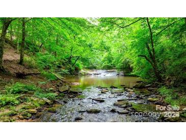 Beautiful creek with lush trees providing a natural and serene setting, ideal for nature enthusiasts and relaxation at 6156 Falls Ridge Trl, Sherrills Ford, NC 28673