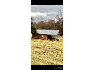 Rustic cabin exterior with metal roof and wooden siding, nestled in a grassy field at 166 Cheryls Pass None, Love Valley, NC 28625