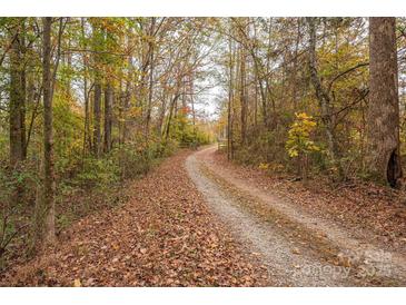 Long winding driveway through colorful wooded area of the property at 2073 Mauney Rd, Bessemer City, NC 28016