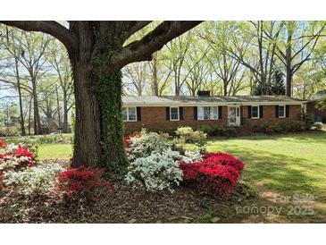 Charming brick home featuring colorful landscaping with red and white azalea bushes in the front yard at 725 Plantation Rd, Lancaster, SC 29720