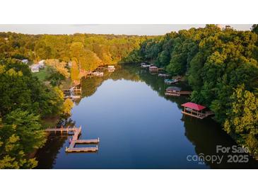 Aerial view of a tranquil lake lined with trees, featuring multiple boat docks and waterfront properties at 324 Bridgewater Ln, Mooresville, NC 28117