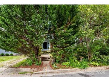 Charming home featuring mature trees, front entry stairs and a lush garden surrounding the pathway to the front door at 1716 Umstead St, Charlotte, NC 28205