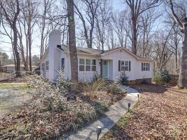 Charming home with a brick chimney, light blue door, and a walkway lined with lights at 10514 Lorelei Pl, Charlotte, NC 28227