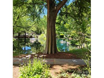 Scenic pond view with lush greenery and calm waters, creating a peaceful and serene atmosphere at 2545 Stockbridge Dr, Charlotte, NC 28210