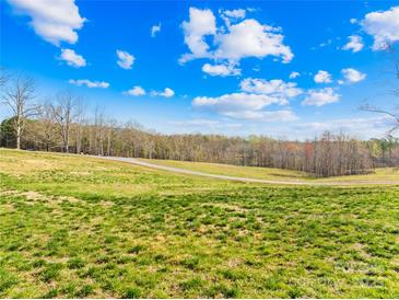 Vast grassy field with a small road, surrounded by trees and a clear blue sky with fluffy clouds at 164 Linderman Lake Ln, Kings Mountain, NC 28086