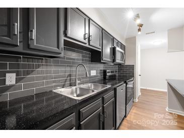 Close up of the modern kitchen featuring black cabinets, granite countertops, and stainless steel appliances at 6134 Meadow Rose Ln, Charlotte, NC 28215